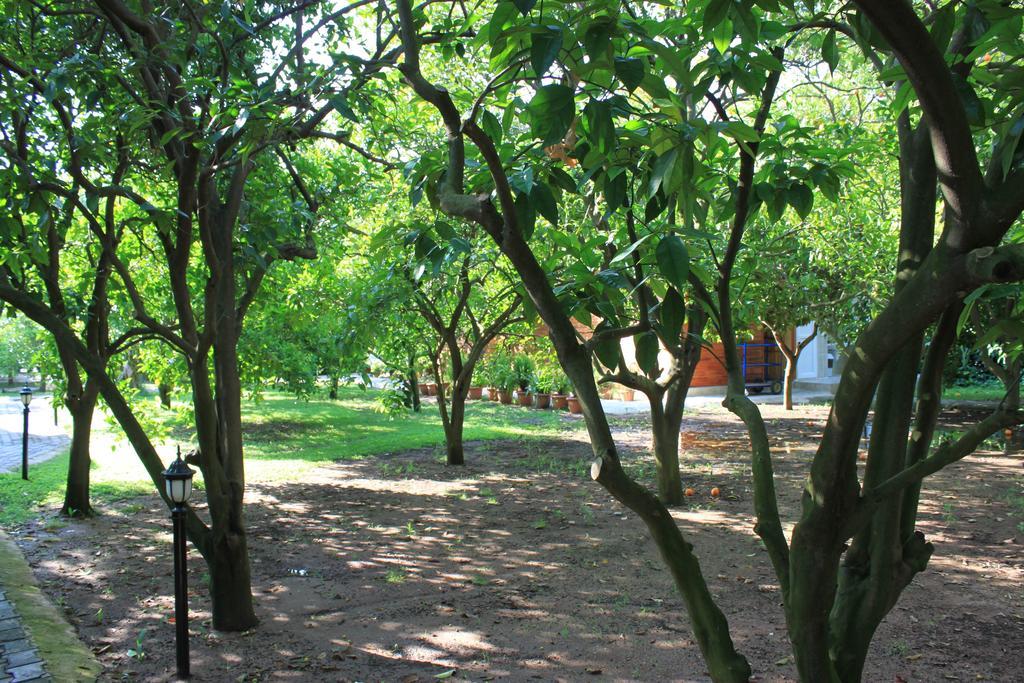 Yildiz Pension Bungalows Cirali Exterior photo