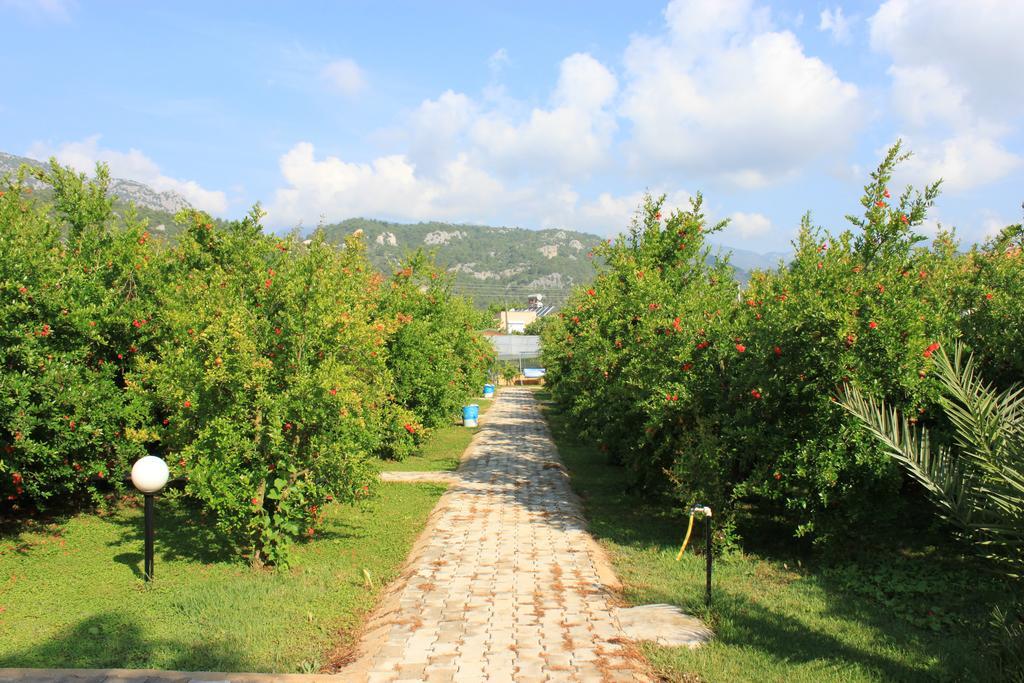 Yildiz Pension Bungalows Cirali Exterior photo