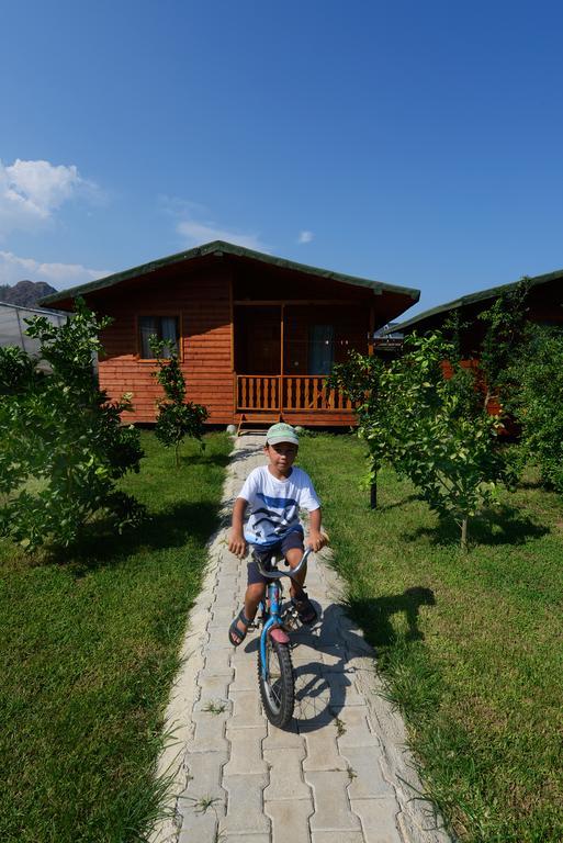 Yildiz Pension Bungalows Cirali Room photo