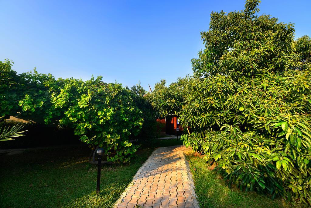 Yildiz Pension Bungalows Cirali Exterior photo