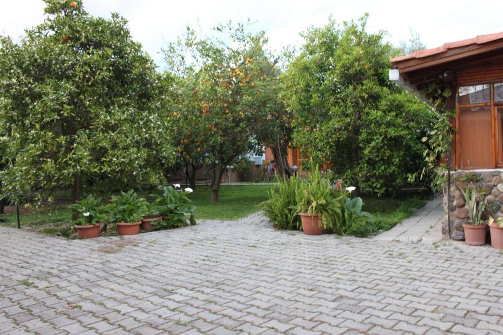 Yildiz Pension Bungalows Cirali Exterior photo