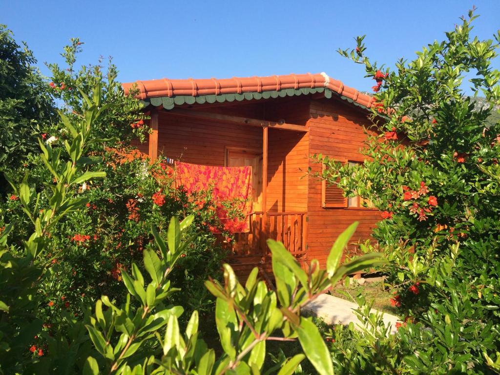 Yildiz Pension Bungalows Cirali Room photo